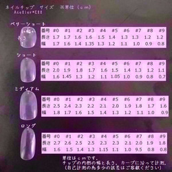 №071-A　ネイルチップ 3枚目の画像