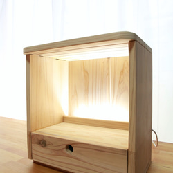 おこりんぼうのハリネズミケージ L754545 ハウス・小屋 A.C.E