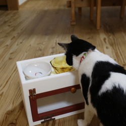 ★ 犬・ねこのえさ箱　ホワイトカラー  ★ 4枚目の画像