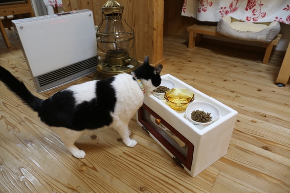 ★ 犬・ねこのえさ箱　ホワイトカラー  ★ 5枚目の画像