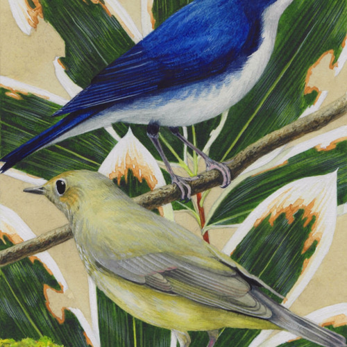 鳥の絵（原画）インテリアアート 絵画 山の幸 通販 4467706｜Creema