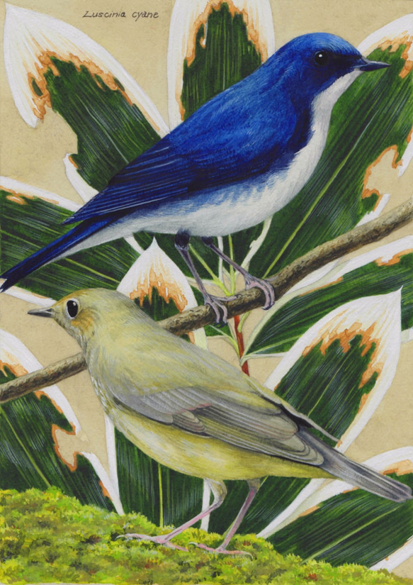 鳥の絵（原画）インテリアアート 絵画 山の幸 通販 4467706