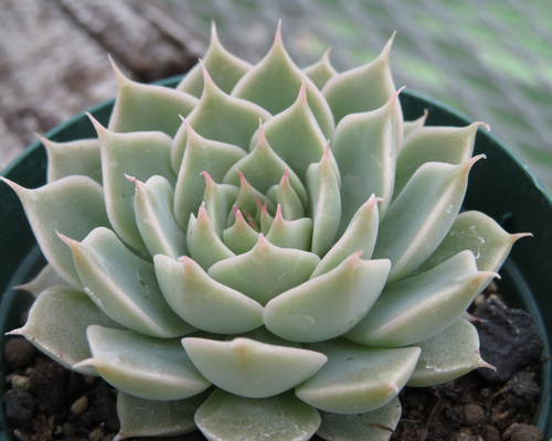 1_869618aa20b0336d04c45afc8712