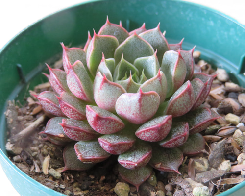 1_3d10f0ee6ed80b50f89fae653f60