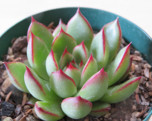 1_5b89e21e41878253f333f09b4658