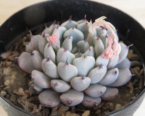 1_92899fbaba42102da2e980355580