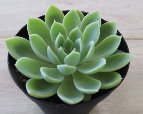 1_7097e3f18c5f7cb78c4cca43b642