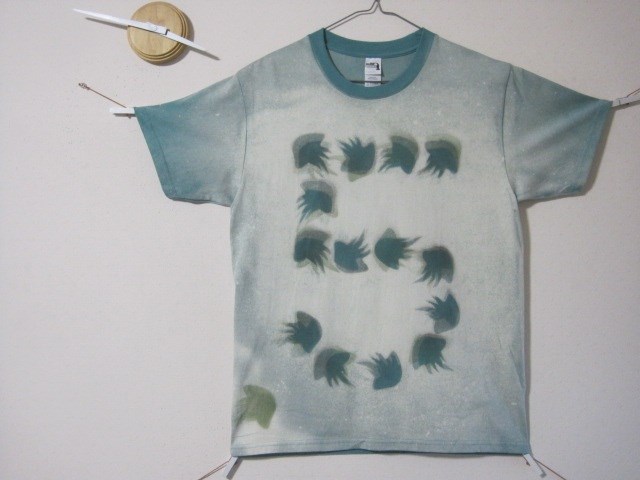 1点  クラゲの【5】　癒し/エメラルド/水かき/レトロ/氷/アイス/グリーン/海洋/皇帝