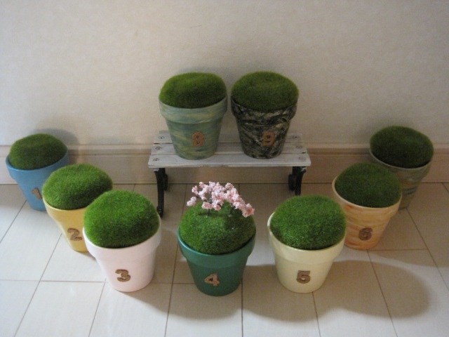 ＊現在オーダー停止中（購入不可）＊ 59,999円