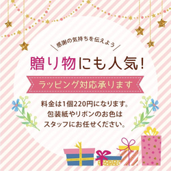 【めざましテレビで紹介】ふくらはぎストレッチャー ドクターホワイル (DRFT1) 【5～18日以内発送】 11枚目の画像