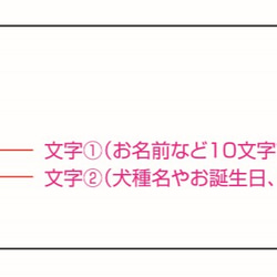 ワンちゃんのお名前入りフォトフレーム＊お名前入り＊ 5枚目の画像