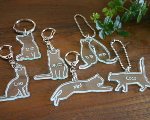 猫のひたいほどワイド 名前 アクリルキーホルダー 猫のひたいほどワイド 猫ひた コレロット くじ 瀧澤翼 アクリル