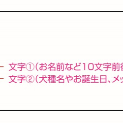 猫ちゃんのお名前入りフォトフレーム＊お名前入り＊ 5枚目の画像