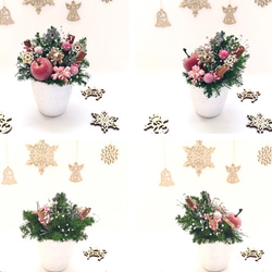 『クリスマスのミニアレンジ』 プリザーブドフラワー 3枚目の画像