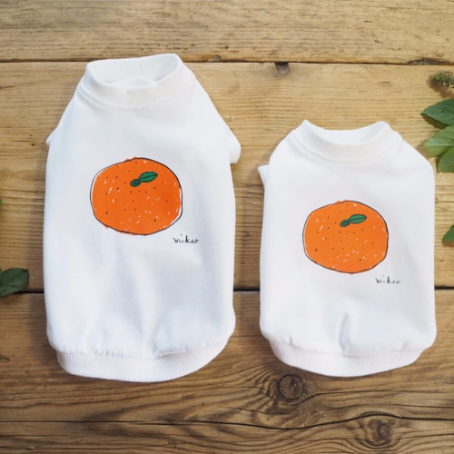 わんことお揃いコーデ2枚セット☆彡 みかん Tシャツ 犬服 ☆ お散歩