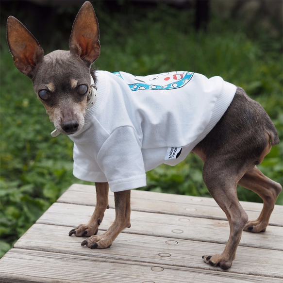 わんちゃん用ひょっとこＴシャツ 犬 DOG わんこ 犬服 3枚目の画像