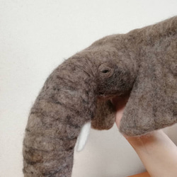 【creema 限定】羊毛フェルト 象(頭部)の壁掛け 5枚目の画像