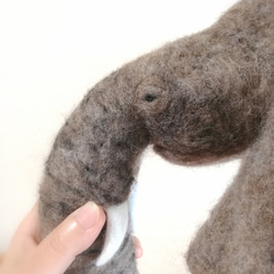 【creema 限定】羊毛フェルト 象(頭部)の壁掛け 6枚目の画像