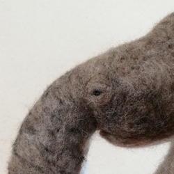 【creema 限定】羊毛フェルト 象(頭部)の壁掛け 7枚目の画像