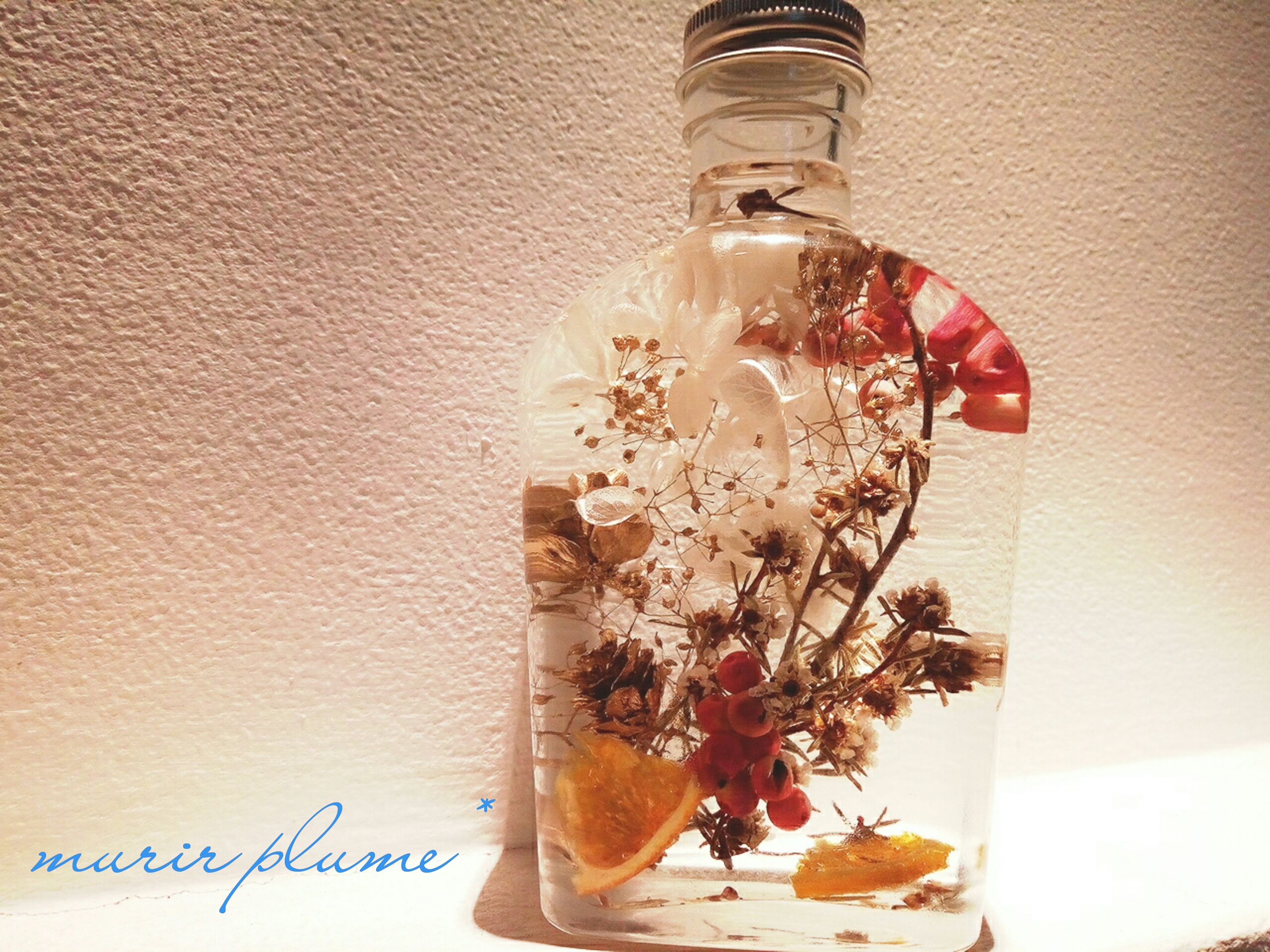 errer ガラスドーム 標本 ハーバリュウム ミニ 植物標本 アンティーク errer ガラスドーム 標本 ハーバリュウム ミニ 植物標本