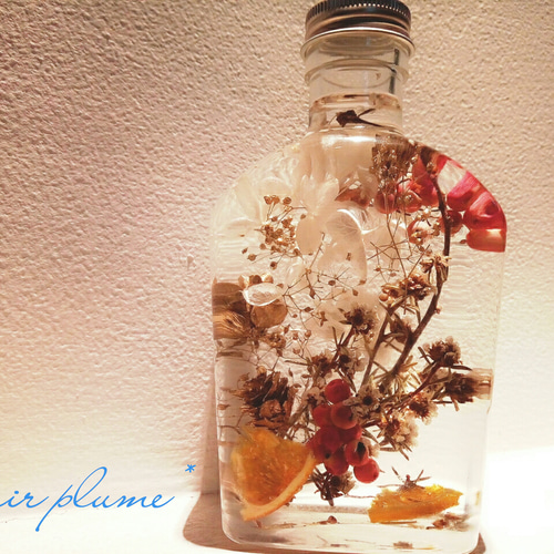 errer ガラスドーム 標本 ハーバリュウム ミニ 植物標本 アンティーク errer ガラスドーム 標本 ハーバリュウム ミニ 植物標本