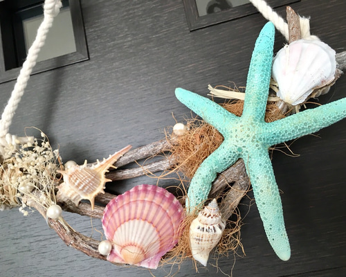 沖縄産 巨大貝殻と流木のセット 1点もののインテリア 沖縄産 巨大貝殻