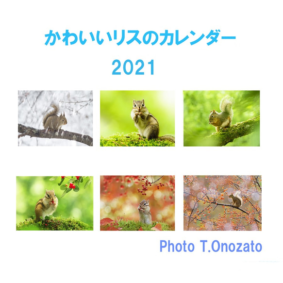 かわいいリスのA4カレンダー2021 1枚目の画像