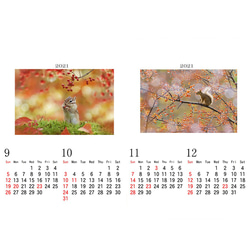 かわいいリスのA4カレンダー2021 5枚目の画像