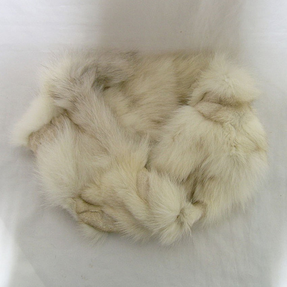 ¶ new antique fur ¶ 最高級ブルーフォックスnejiriスヌード「ルークス」 5枚目の画像