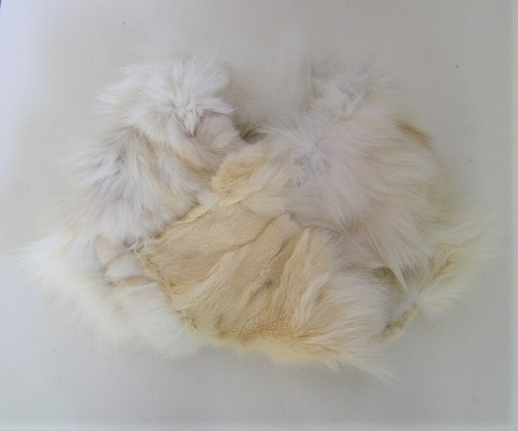 ¶ 24 小時限量發售 ¶ Blue fox fur nejiri snood &quot;liem&quot; 第5張的照片