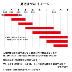 納期短縮　スピードオーダー 7枚目の画像