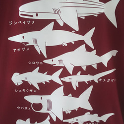 サメT　バーガンディＸＬサイズ　Ｔシャツ 2枚目の画像