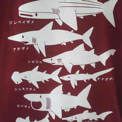 サメT　バーガンディＬサイズ　Ｔシャツ 2枚目の画像