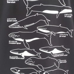 ヒゲクジラT  Mサイズ Tシャツ 2枚目の画像