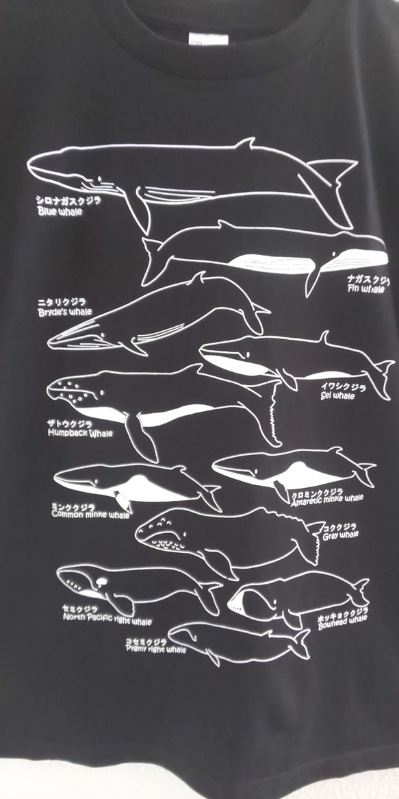 ヒゲクジラT  Mサイズ Tシャツ 2枚目の画像