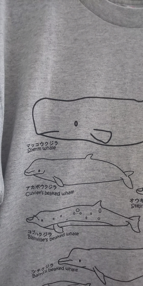 ハクジラT  XLサイズ Tシャツ 2枚目の画像