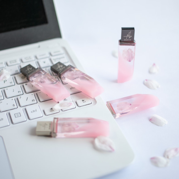 春の透明USBメモリ【桜色メモリーズMk.Ⅱ】(32,64GB) 2025年開花東京産ソメイヨシノを使用 2枚目の画像