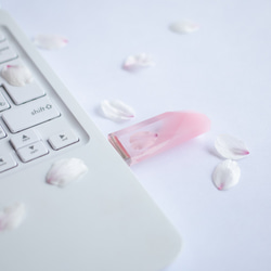 春の透明USBメモリ【桜色メモリーズMk.Ⅱ】(32,64GB) 2025年開花東京産ソメイヨシノを使用 3枚目の画像
