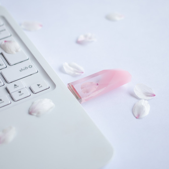 春の透明USBメモリ【桜色メモリーズMk.Ⅱ】(32,64GB) 2025年開花東京産ソメイヨシノを使用 3枚目の画像