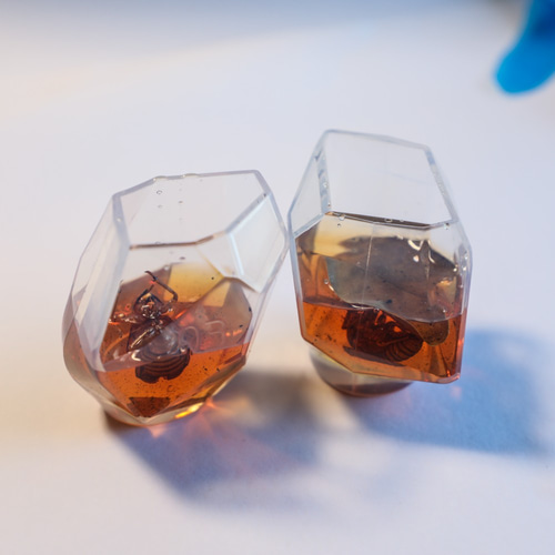 レジン工作キット】「セミの抜け殻人工琥珀」製作キット【自由研究