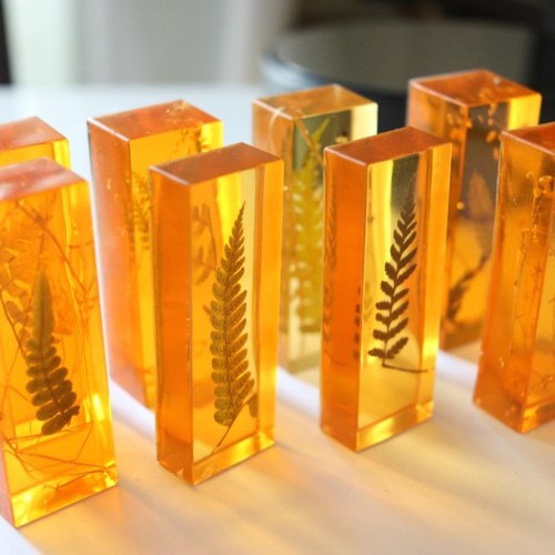 人工琥珀（シダの葉っぱ・大） その他インテリア雑貨 ニケルxp 通販