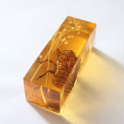 0_e94f99fee17c52980eac7d61888f