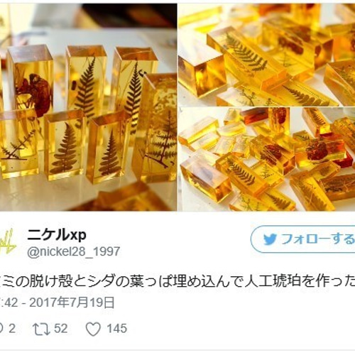 人工琥珀 鳥の羽 その他インテリア雑貨 ニケルxp 通販 4471982