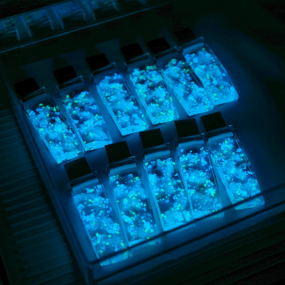 蓄光透明USBメモリVol.1【Starlight Works】(32,64GB) 2枚目の画像