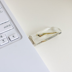 透明USBメモリ【OSAKANA INSIDE】(64GB) 1枚目の画像
