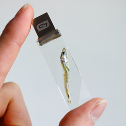 透明USBメモリ【OSAKANA INSIDE】(64GB) 6枚目の画像