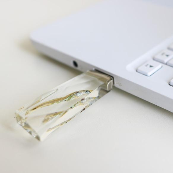 透明USBメモリ【OSAKANA INSIDE】(64GB) 2枚目の画像