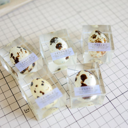 うずらのたまご標本 【Ver.2】 2枚目の画像