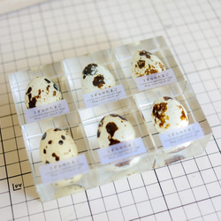 うずらのたまご標本 【Ver.2】 4枚目の画像