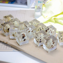 うずらのたまご標本 【Ver.2】 5枚目の画像